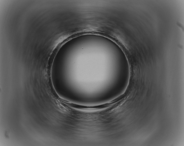X0000097791308200803071403