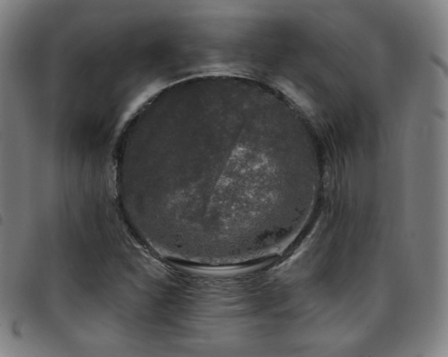 X0000097791310200803071403