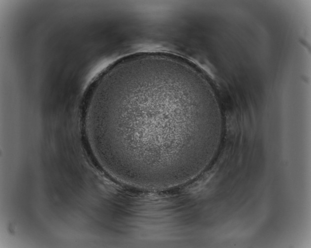 X0000097791311200803071403