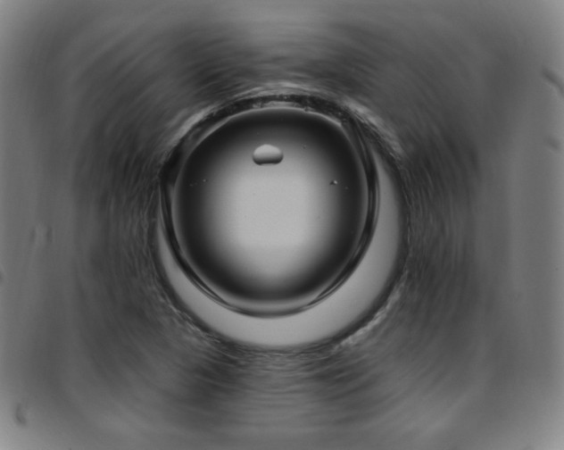 X0000097791313200803071403