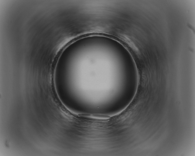 X0000097791316200803071403