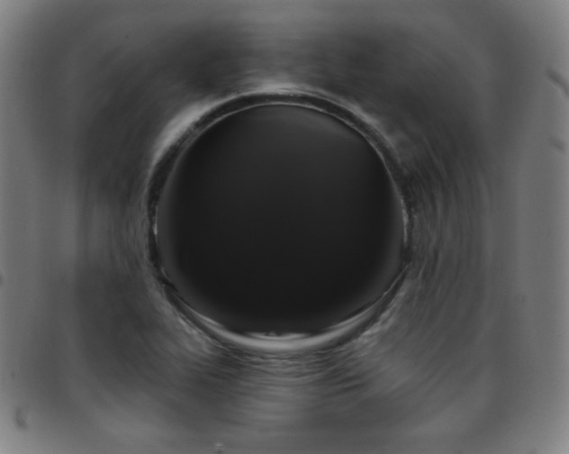 X0000097791319200803071403