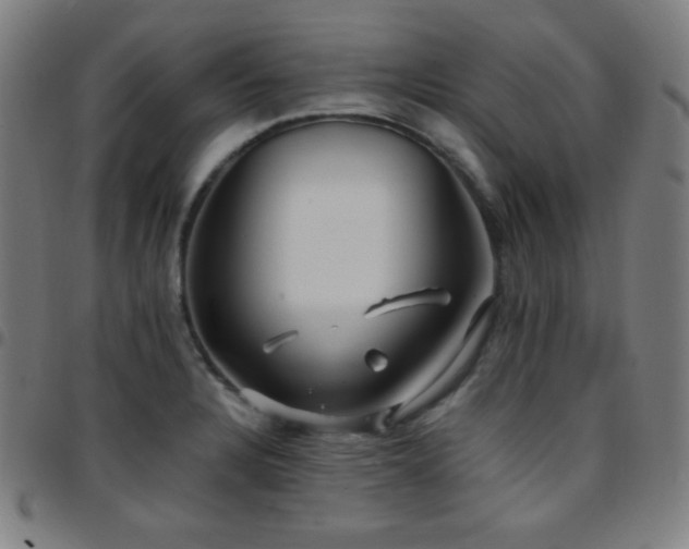 X0000097791328200803071403