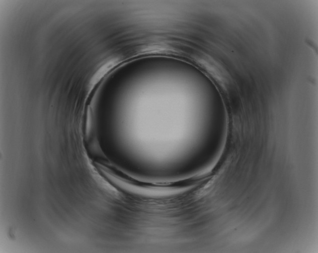 X0000097791330200803071403