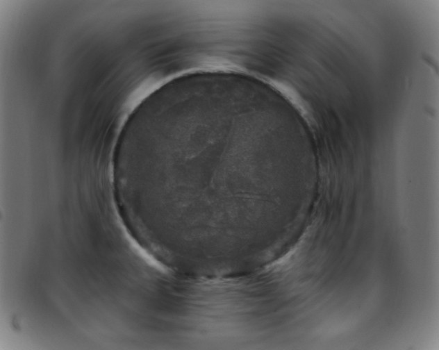 X0000097791335200803071404