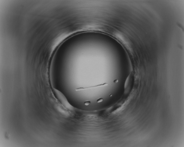 X0000097791336200803071404