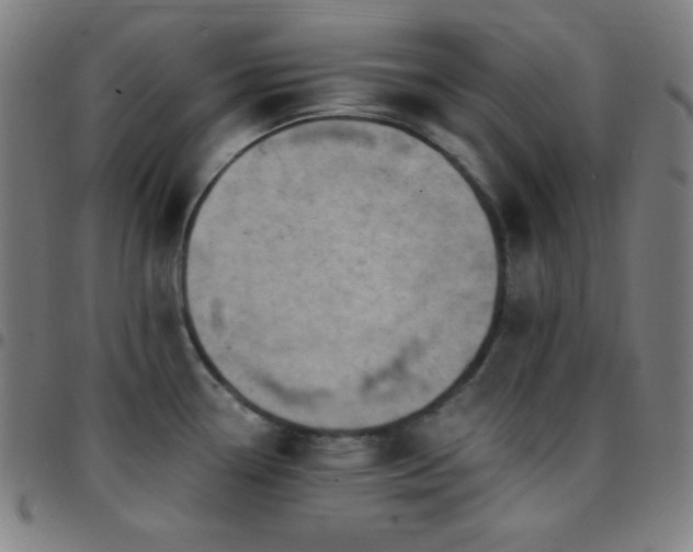 X0000097791338200803071404