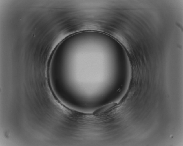 X0000097791339200803071404