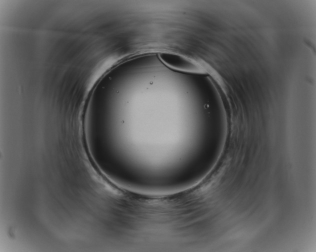 X0000097791341200803071404