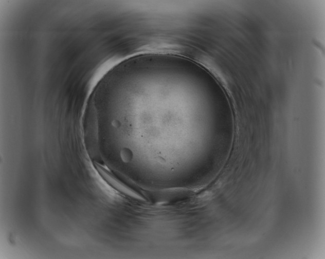 X0000097791344200803071404