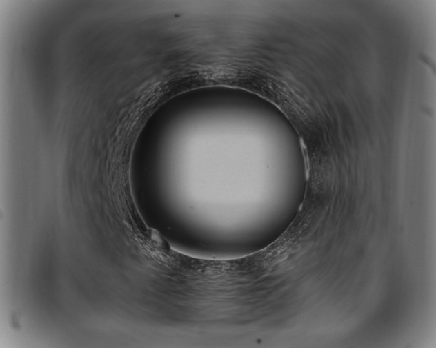 X0000097791345200803071403