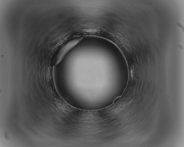 X0000097791347200803071403