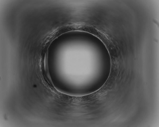 X0000097791349200803071403