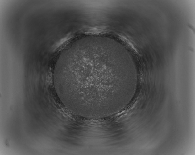 X0000097791350200803071403