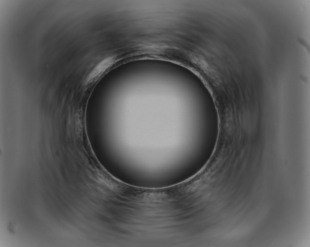 X0000097791354200803071403