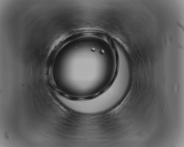X0000097791357200803071403