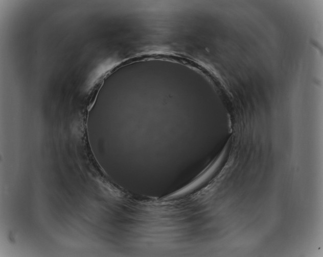 X0000097791359200803071403