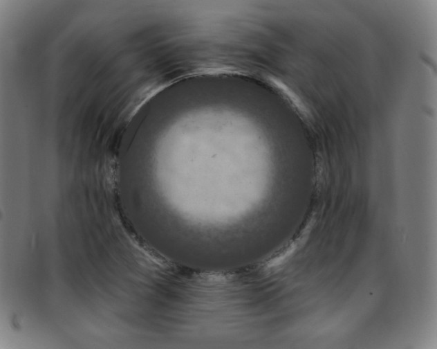 X0000097791361200803071403