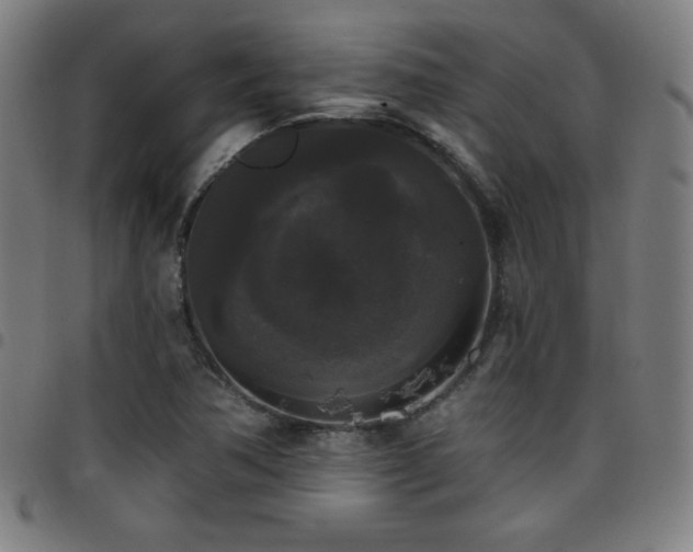 X0000097791362200803071403