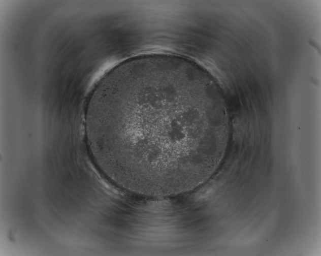 X0000097791363200803071403
