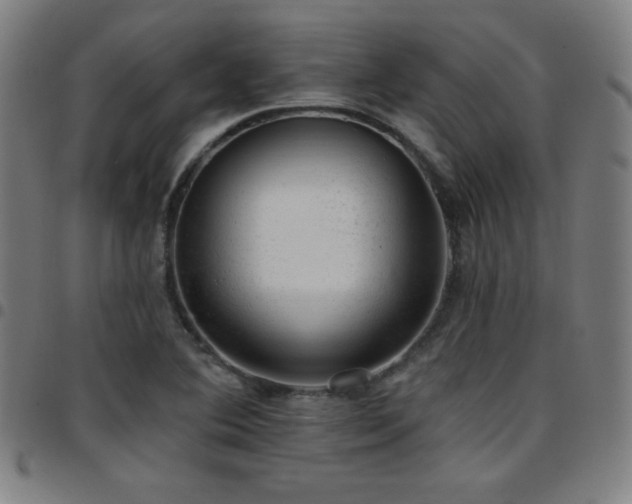 X0000097791364200803071403