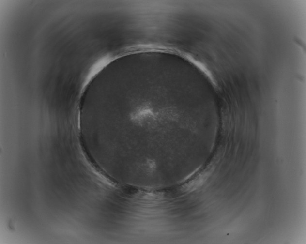 X0000097791365200803071403
