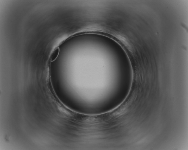 X0000097791366200803071403