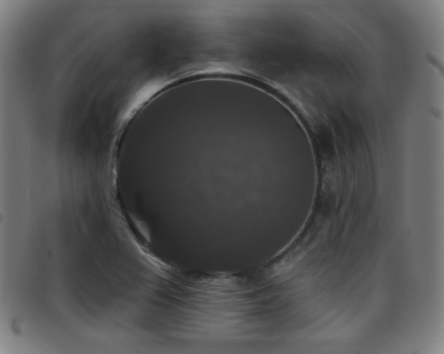 X0000097791367200803071403