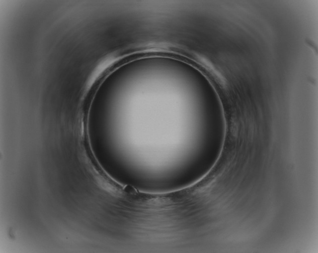 X0000097791368200803071403