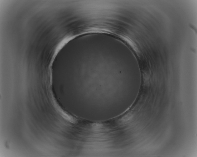 X0000097791371200803071403