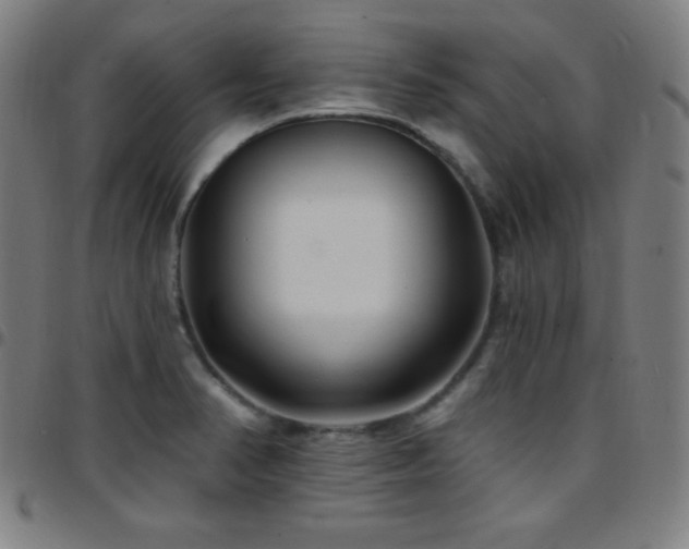 X0000097791374200803071402