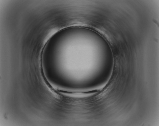 X0000097791375200803071402