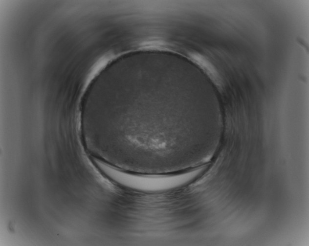 X0000097791376200803071402