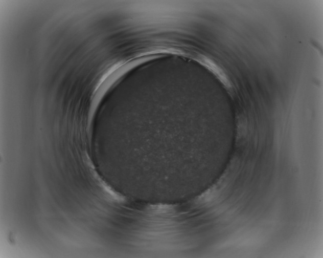 X0000097791377200803071402