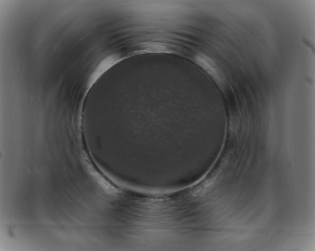 X0000097791378200803071402