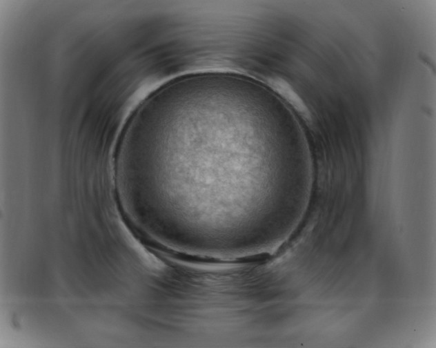 X0000097791380200803071402
