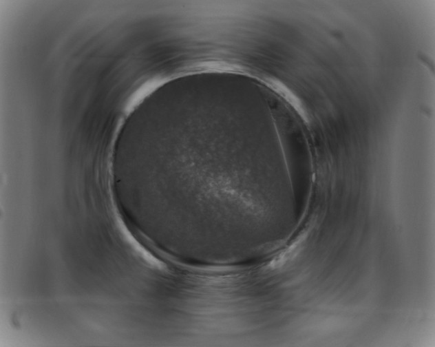 X0000097791381200803071402