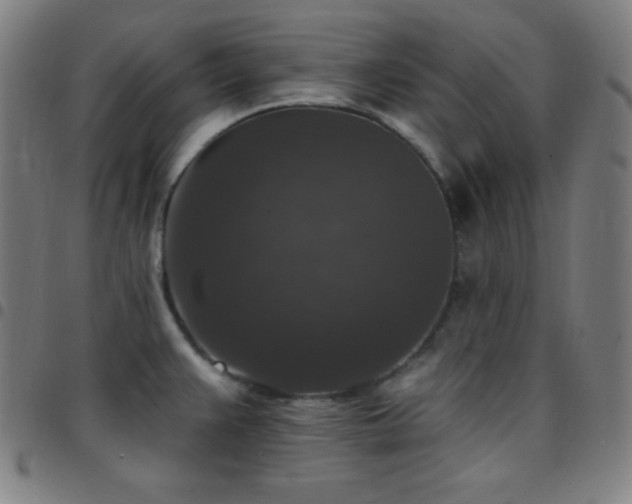 X0000097791383200803071402