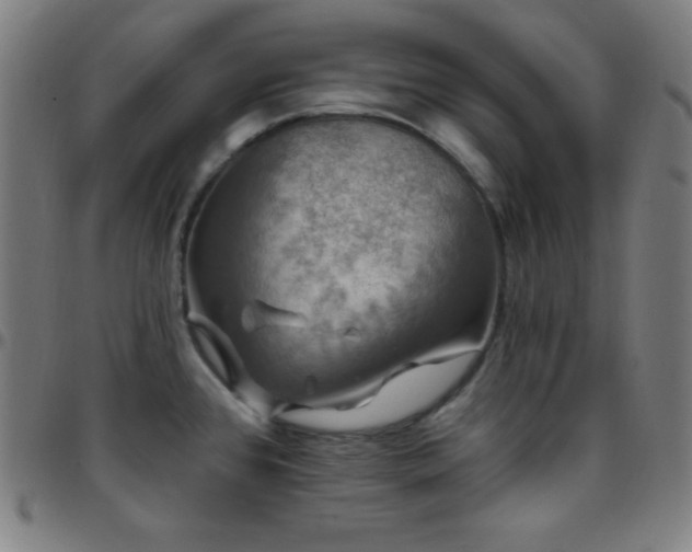 X0000097791384200803071402
