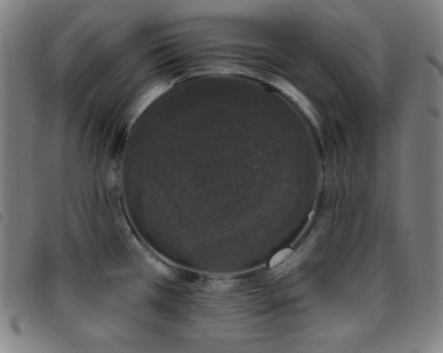 X0000097791385200803071402