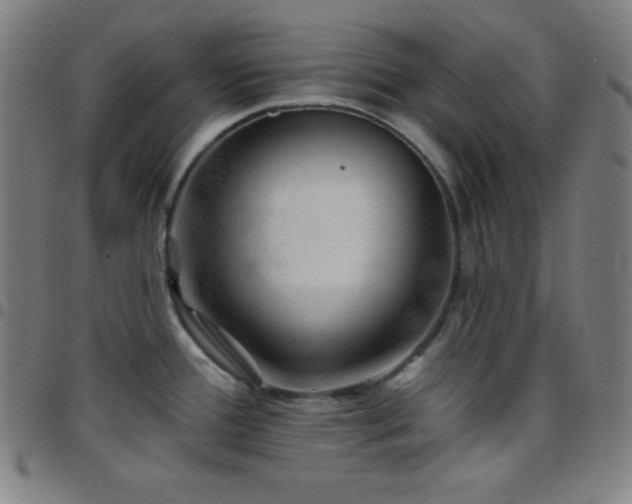 X0000097791388200803071402