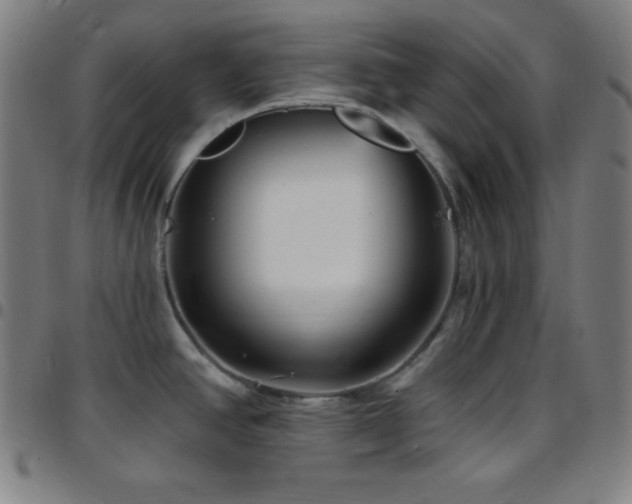 X0000097791390200803071402