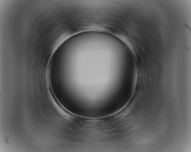 X0000097791391200803071402
