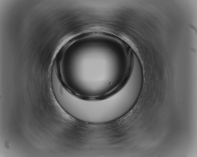 X0000097791392200803071402