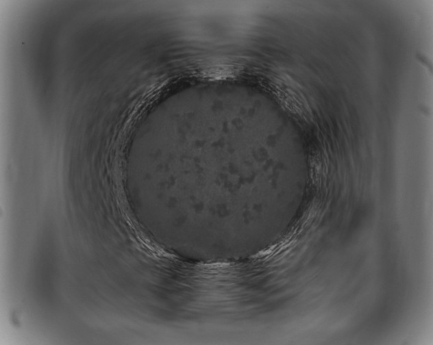X0000097791393200803071401