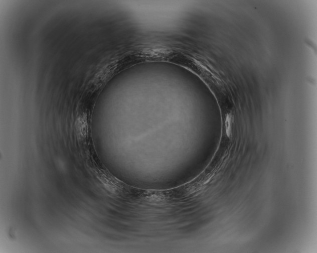 X0000097791395200803071401