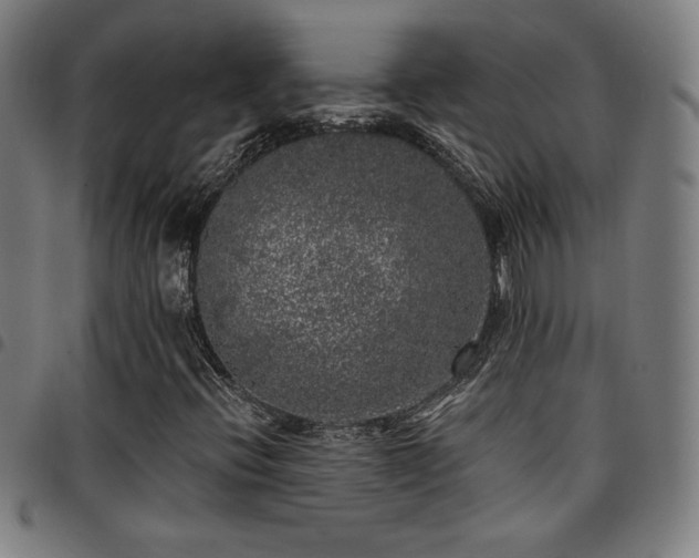 X0000097791396200803071401