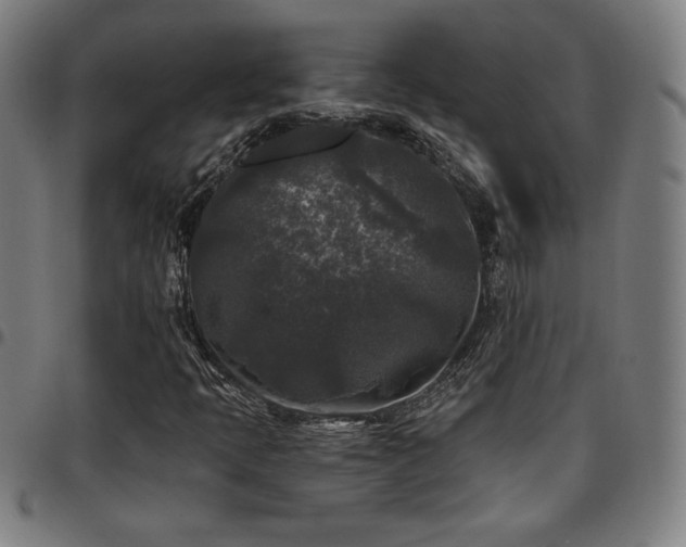X0000097791397200803071401