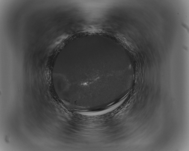 X0000097791398200803071401