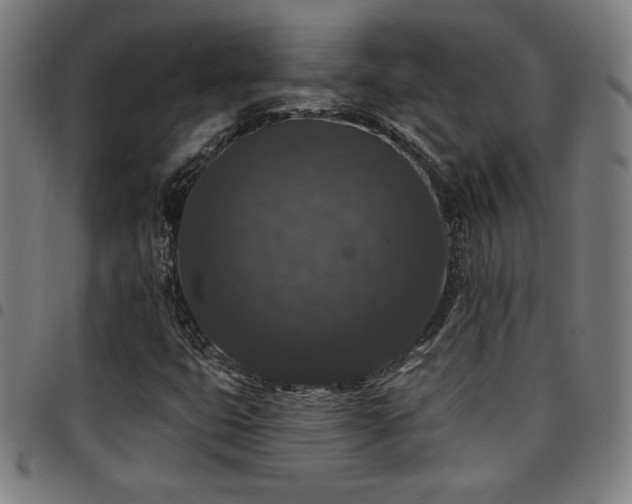 X0000097791399200803071402